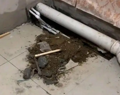 东昌卫生间漏水检测哪家好